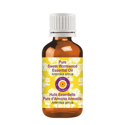 dve herbes Sweet Wormwood Essential Oil (Artemisia annua) Pure | Non-Sticky | Non-Greasy | Lightweight | Men & Women | All Skin Types | Steam Distilled 100ml (3.38 oz)