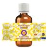 dve herbes Sweet Wormwood Essential Oil (Artemisia annua) Pure | Non-Sticky | Non-Greasy | Lightweight | Men & Women | All Skin Types | Steam Distilled 100ml (3.38 oz) view 2