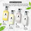 1-Shoppe Terra Pure Ecobox Amenities Kit | Green Tea Soap | Shampoo, Conditioner, Body Lotion, Body Wash | 10.14 oz | Hotel Toiletries Bulk view 3