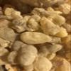 Moroccan Secret Beauty Organic Frankincense, 5 oz view 2