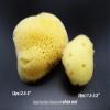 Natural Sea Silk Sponges 12pk: Size 9pc x1.5-2.5" 3pc x 2.5"-3", Like Cotton Balls, for Cosmetic Use, Makeup Application & Removal, Face & Eye Cleaning, with Luxury Gift Bag by Constantia Beauty view 3