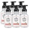 J.R. Watkins Foam Hand Soap Dispenser 6 Pack, Grapefruit, 9 fl oz view 1