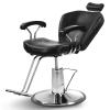Artist hand Hair Stylist All Purpose Barber Chair for Barbershop Salon Chair view 1