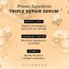 Asterwood Triple Repair Peptide Serum, Matrixyl 3000, Argireline & Vit. C view 3