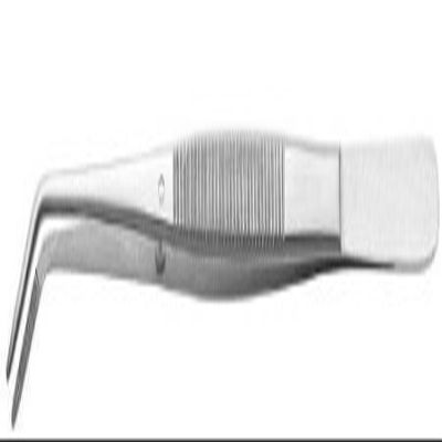 1 Piece Dental College Tweezer Serrated 6'