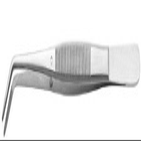 1 Piece Dental College Tweezer Serrated 6'