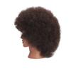 Traininghead 100% Real Hair Mannequin Head Training Head Cosmetology Doll Head Manikin Practice Head Hairdresser with Free Clamp Holder Female (10 inches afro hair C) view 3