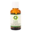 R V Essential Pure Aniseed Essential Oil 50ml (1.69oz)- Pimpinella Anisum (100% Pure and Natural Steam Distilled) view 1