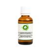 R V Essential Pure Fenugreek (Methi) Essential Oil 50ml (1.69oz)- Trigonella Foenumgraecum (100% Pure and Natural Steam Distilled) view 1