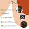 CAISHA Synthetic Fiber Hairpiece Scrunchie Scrunchy Updo Slightly Wavy Gray Brown Mix G24B view 4
