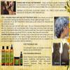 Formaldehyde-Free Organic Keratin Treatment Set (2 oz/60 ml) by Kerarganic - Natural Ingredients that Eliminates Frizz, Reduces Volume, Repairs Damages. view 3