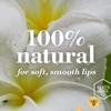 Burt's Bees 100% Natural Origin Moisturizing Lip Balm, Cucumber Mint with Beeswax, 4 Tubes view 2