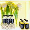 DM Invigorating Therapeutic Oil (GARDENIA) view 4
