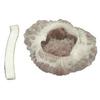 2000 Ct. White Disposable Surgical BOUFFANT CAPS Banded Non-Woven Wholesalers Bulk view 2