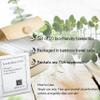 Eucalyptus Crisp Scented Moist Towelettes Single Use by Nabila K - Alcohol-Free, Plant-Based with Natural Ingredients - Individually Wrapped Disposable Travel Size Wipes with Bamboo Case - 20 Count view 3