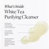 ARCONA White Tea Purifying Water Based Cleanser For Sensitive Skin - Gentle Face Wash For Women - Exfoliating Face Wash, Cranberry, Yucca, Vitamin E, Aloe - Made In The USA - 3.67oz. Made In The USA view 2