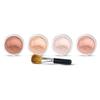 5pc BLUSH SET with BRUSH Mineral Makeup Kit Bare Face Powder Rouge Highlight (Full Size Blush Set) view 1