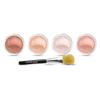 5pc BLUSH SET with BRUSH Mineral Makeup Kit Bare Face Powder Rouge Highlight (Sample Size Blush Set) view 1