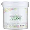 240g Modeling Mask Powder Pack ALOE for Soothing by Anskin view 1