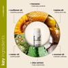 ArtNaturals Organic Beeswax Lip Balm Gift Set - Assorted Flavors with Aloe, Coconut & Jojoba Oils view 4