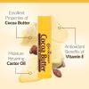 Cococare Cocoa Butter Lip Balm 0.15 oz (Pack of 8) view 4