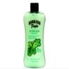 Hawaiian Tropic Lime Coolada After Sun Moisturizer 16 oz (Pack of 4) view 2
