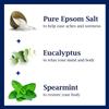 Dr Teal's Body Wash, Relax & Relief with Eucalyptus & Spearmint 24 oz (Pack of 5) view 3