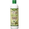 Africa's Best Originals Maximum Strength Extra Virgin Olive Oil Moisturizing Growth Lotion 12 oz (Pack of 8) view 1