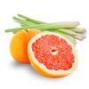 Beessential Natural Body Wash, Grapefruit & Lemongrass | Sulfate-Free Bath and Shower Gel with Essential Oils for Men & Women, 8 oz view 4