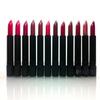 Princessa Aloe Lipsticks Set - 12 Fashionable Colors/ Long Lasting