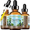 Botanical Beauty BLACK CURRANT SEED OIL 100% Pure Natural Undiluted Refined Cold Pressed Carrier Oil for Skin, Hair, Lip and Nail Care (1 Fl Oz) view 1