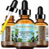 Botanical Beauty BLACK CURRANT SEED OIL 100% Pure Natural Undiluted Refined Cold Pressed Carrier Oil for Skin, Hair, Lip and Nail Care (2 Fl Oz) view 1