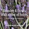 Dr. Bronner's Organic Sugar Soap (Lavender, 64 Ounce)- Made with Organic Oils, Sugar & Shikakai Powder, 4-in-1 Uses: Hand and Body Wash, Face, Hair- Cleanses, Moisturizes, Nourishes, Vegan view 4