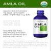velona Amla Oil USDA Certified Organic - 2 Fl Oz | 100% Pure and Natural Carrier Oil | Extra Virgin, Unrefined, Cold Pressed view 2