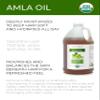 velona Amla Oil USDA Certified Organic - 1 Gallon / 128 Fl Oz | 100% Pure and Natural Carrier Oil | Extra Virgin, Unrefined, Cold Pressed view 2