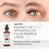 PURA D'OR 4 Oz Organic Castor Oil  Pure Cold-Pressed, Hexane-Free, USDA Certified  Lashes, Brows, Hair, Scalp, Skin  Botanical Moisturizer Supporting Softness, Strength, Hydration, Shine & Radiance view 3