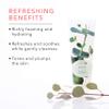 100% PURE Eucalyptus Shower Gel Natural Foaming & Hydrating Body Wash - Deeply Moisturizing Gentle Soap Cleanser for All Skin Types, Even Sensitive - Gluten-Free - 8 Fl Oz view 3