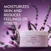 Aveda Stress-Fix Body Creme | Shown to Reduce Feelings of Stress | with Aroma of Lavender, Lavandin, Clary Sage, 6.7 Fl Oz view 2