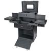 SHANY REBEL Series  Pro Makeup Artists Multifunction Cosmetics Trolley Train Case  Large - Knight view 1