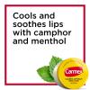 Carmex Medicated Lip Balm Jars, Lip Protectant - Pack of 3 view 3