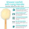 Vive 17 Shower Loofah with Long Handle - Exfoliating Back & Body Scrubber for Men & Women - Luffa Sponge on a Stick for Bathing, Cleaning - Includes Extra Handheld Lufa, Hook & String to Hang on Wall view 2