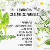Canviiy ScalpBliss Itch-Calming Serum, Long-Lasting Soothing Scalp Moisturizer for Dry itchy Scalp, Enriched with Aloe Vera, Witch Hazel, Manuka Honey and Peppermint Oil (Organic Based) view 4