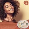 Ashanti Naturals White Chunky Raw Shea Butter | Unrefined African Shea Butter from Ghana | 100% Natural Moisturizer, No Additives - 5 oz view 4