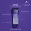 Alterna Caviar Anti-Aging Replenishing Moisture Leave-in Smoothing Gelee, Lightweight Styling For Dry Hair,Sulfate Free ,3.4 Fl Oz (Pack of 1) view 2