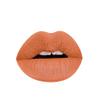 Aromi Matte Liquid Lipstick | Nutmeg, Orange Lip Color, Squash Shade, Long-Lasting, Waterproof (Burnt Pumpkin) view 1