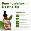 Mayans Secret Organic Apricot Kernel Oil  Cold Pressed & Unrefined Moisturizing for Skin, Face, and Hair  Pure Organic Apricot Seed Oil in Amber Glass Bottle with Dropper, 4 oz. - USDA Certified view 3