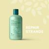 Thicker Hair Care Thicker Fuller Hair Repairing Conditioner, 12 Oz, Green (819933011744) view 2