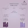 Alterna Caviar Anti-Aging Multiplying Volume Shampoo, 8.5 Fl Oz(Pack of 1) view 3