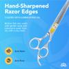Equinox International, Professional Hair Scissors, Japanese Stainless Steel-Barber Hair Cutting Texturizing Thinning Razor Edge Series Teeth Shears for Men/Women/Kids/Salon & Home-6.5" Overall Length view 4