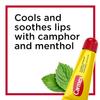 Carmex Lip Balm Tubes (Pack of 12) by Carmex view 2